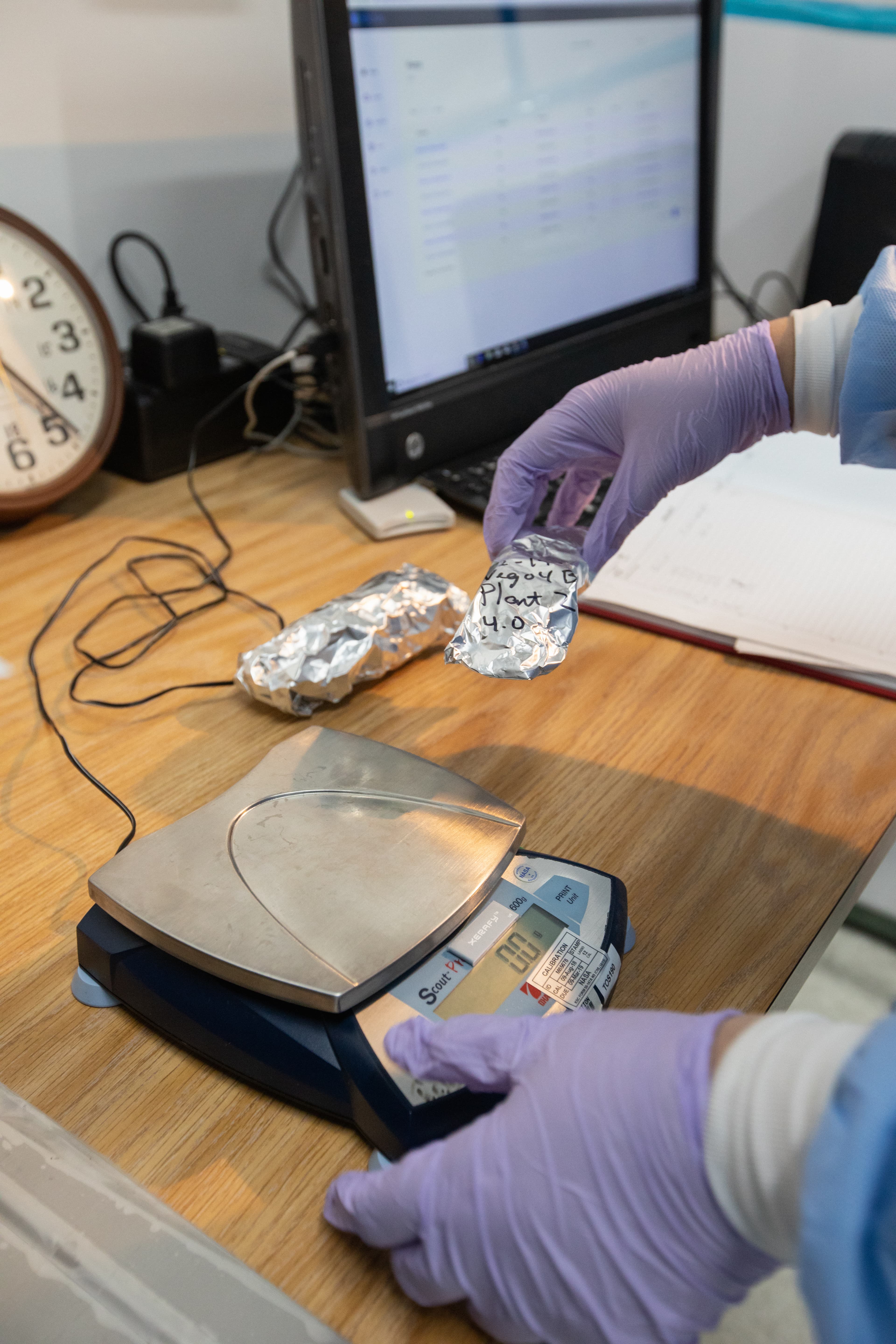 Growing Food in Space Veg-04B Harvest