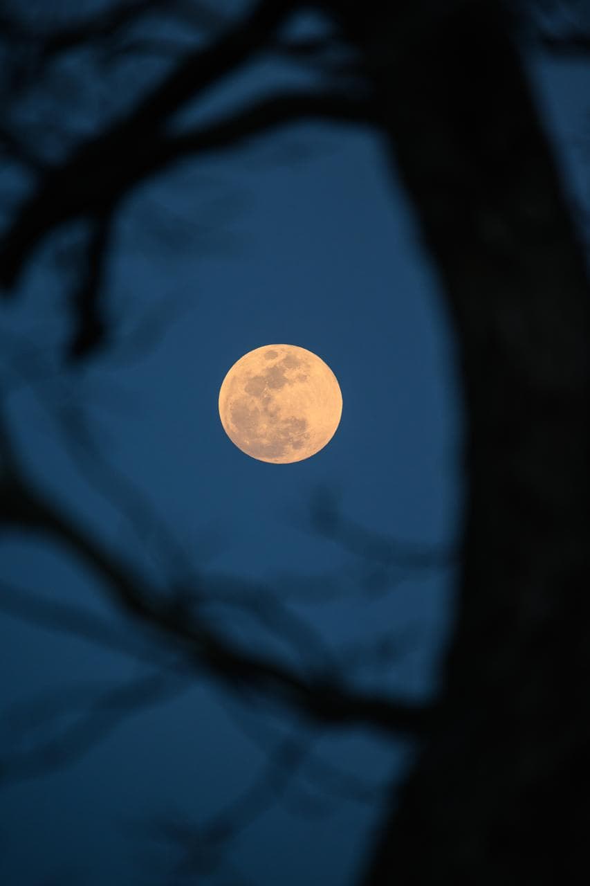 Worm Moon March 2025