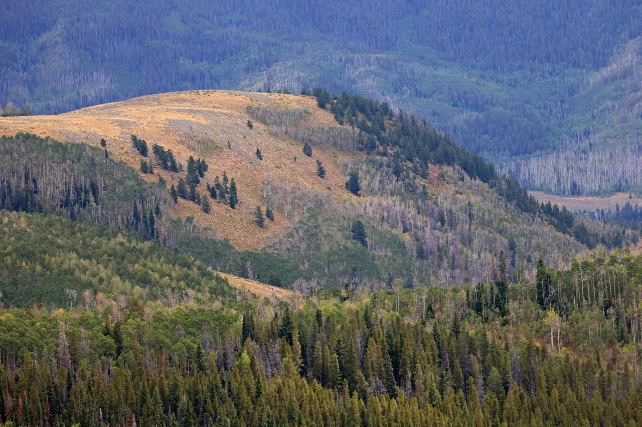 NASA Uses Colorado Mountains for Simulated Artemis Moon Landing Course