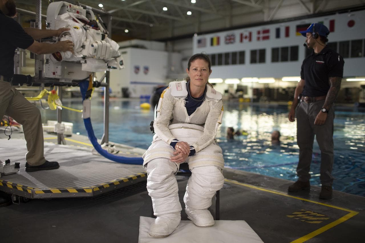 Portrait - Astronaut Tracy Caldwell Dyson