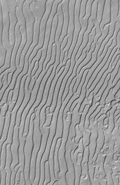 Mars South Polar Cap "Fingerprint" Terrain