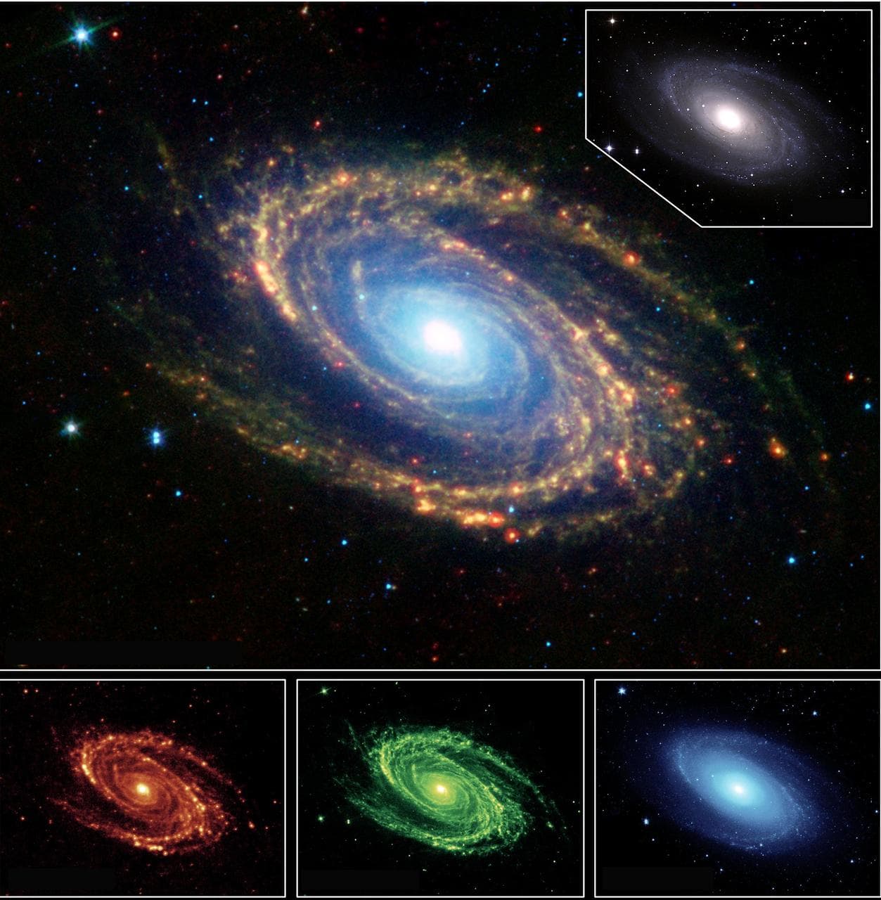 Multi-Wavelength Views of Messier 81