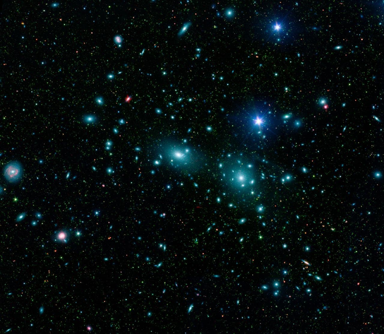 Dwarfs in Coma Cluster