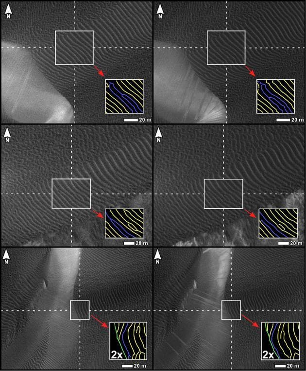 Changes in Ripples on Martian Dunes in Nili Patera