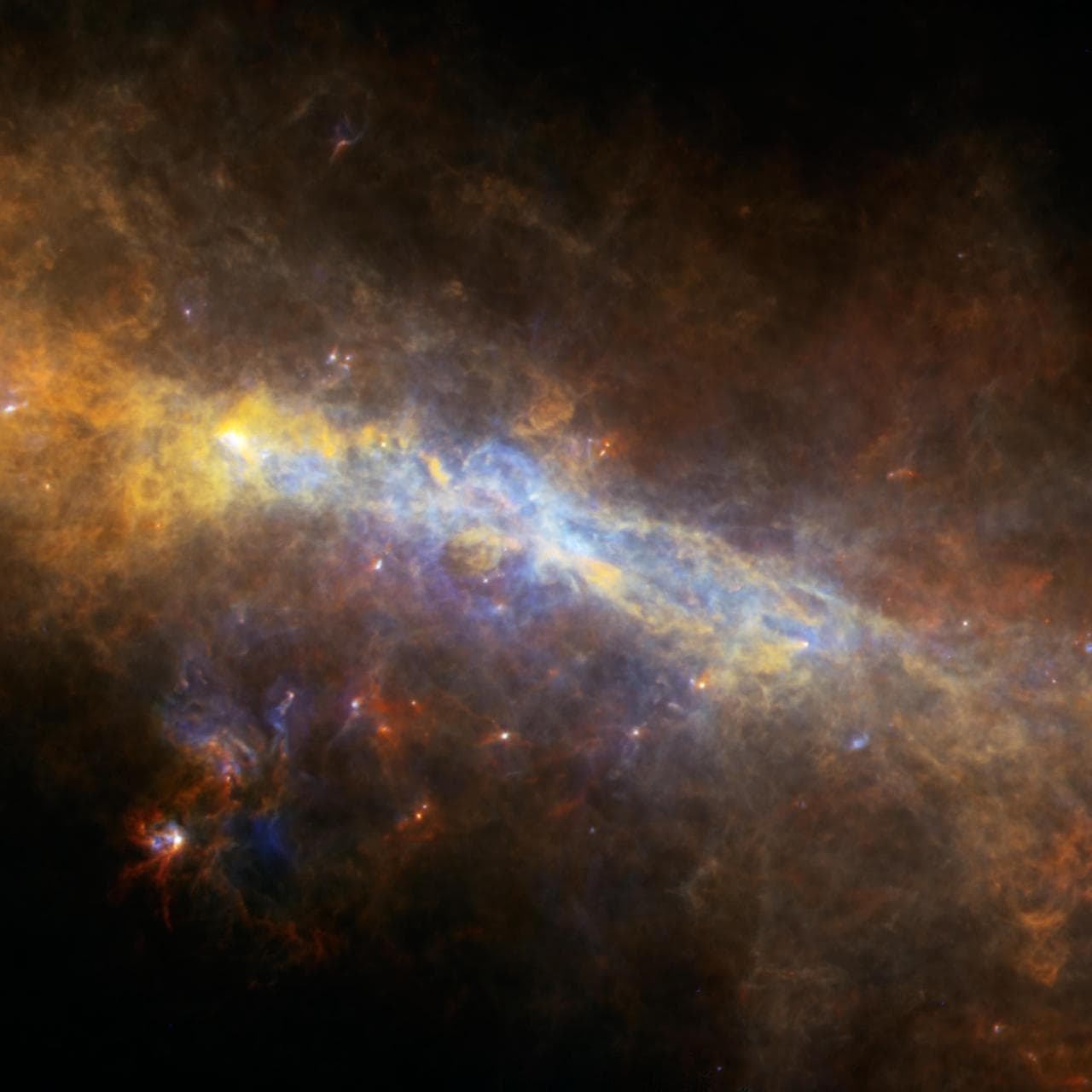 The Case of the Warped Galactic Ring