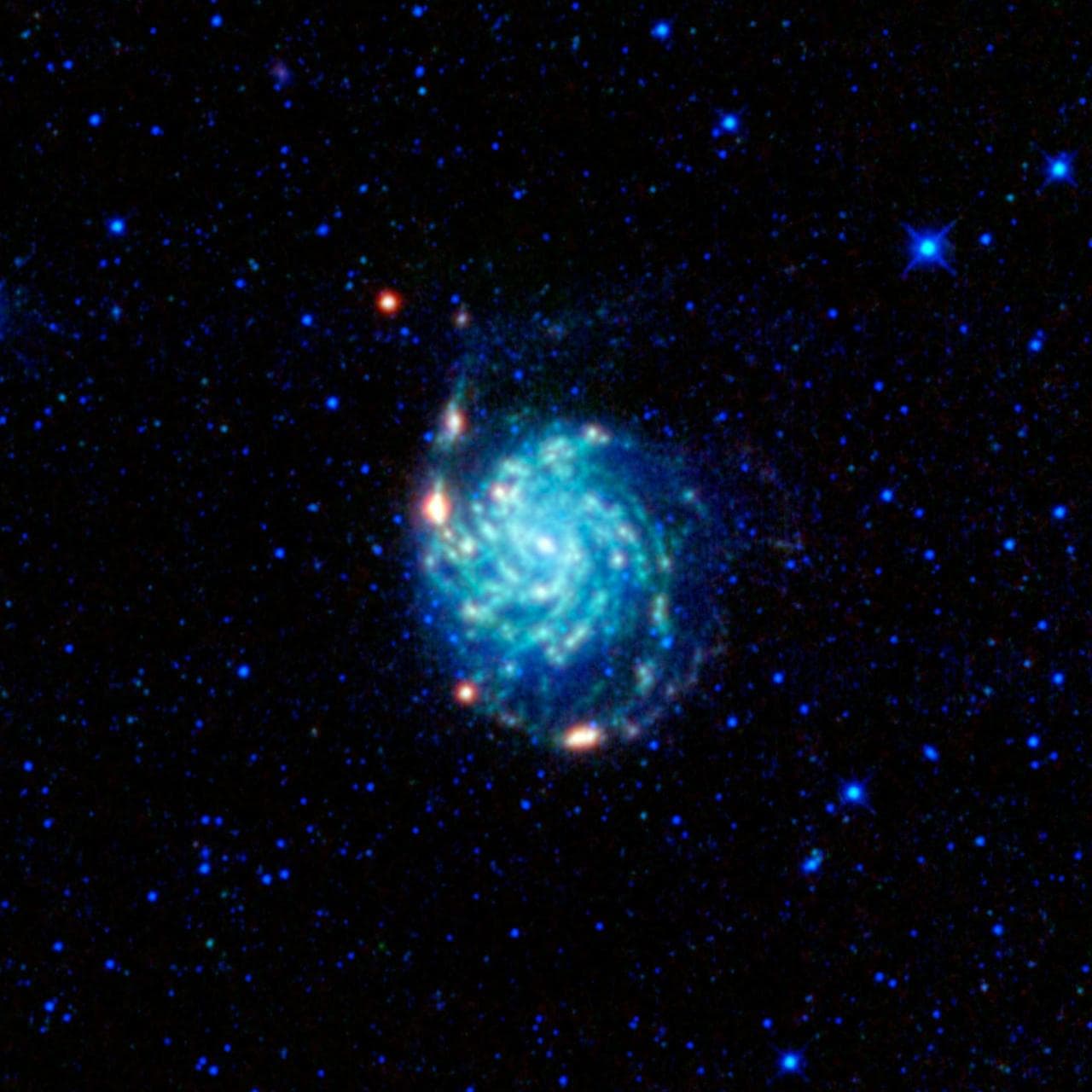 M 101: The Pinwheel Galaxy