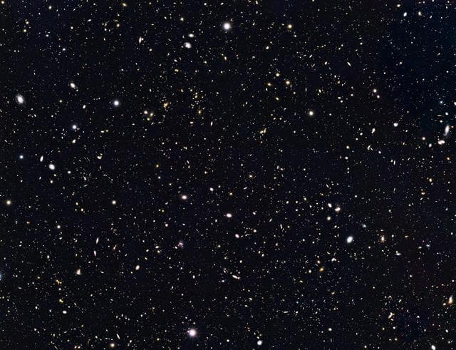 Distant Galaxies in Goods North