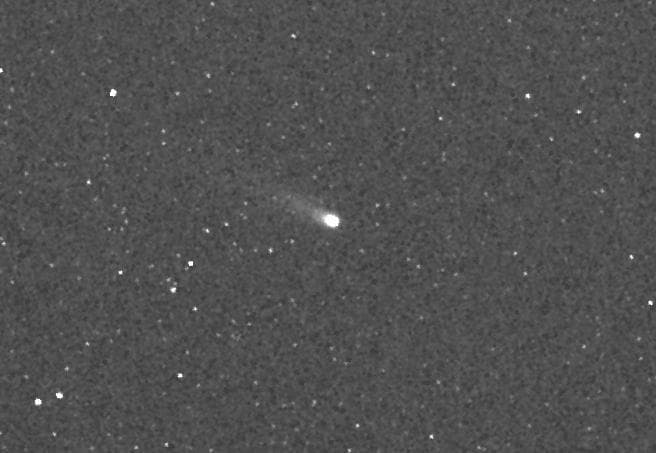 A Tale of Two Comets: ISON