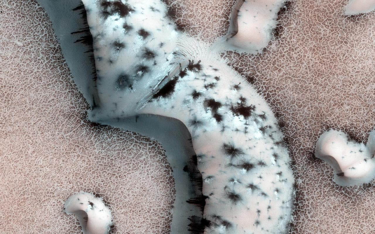 Shapes and Spots on a Polar Sand Dune
