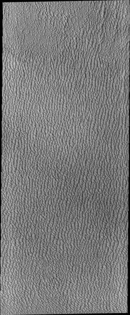 Investigating Mars: Siton Undae