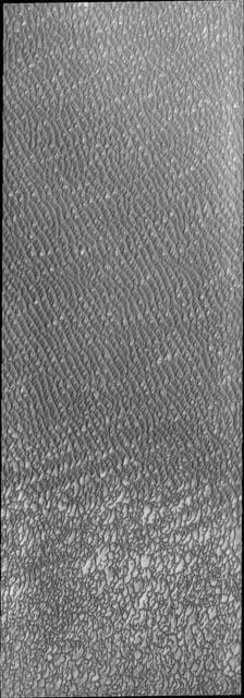 Investigating Mars: Olympia Undae