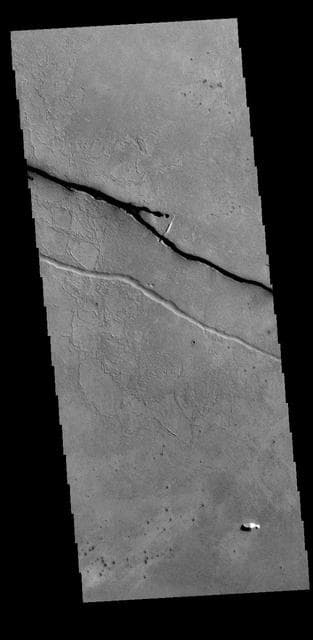 Cerberus Fossae