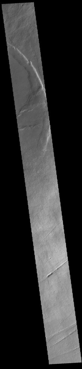 Pavonis Mons