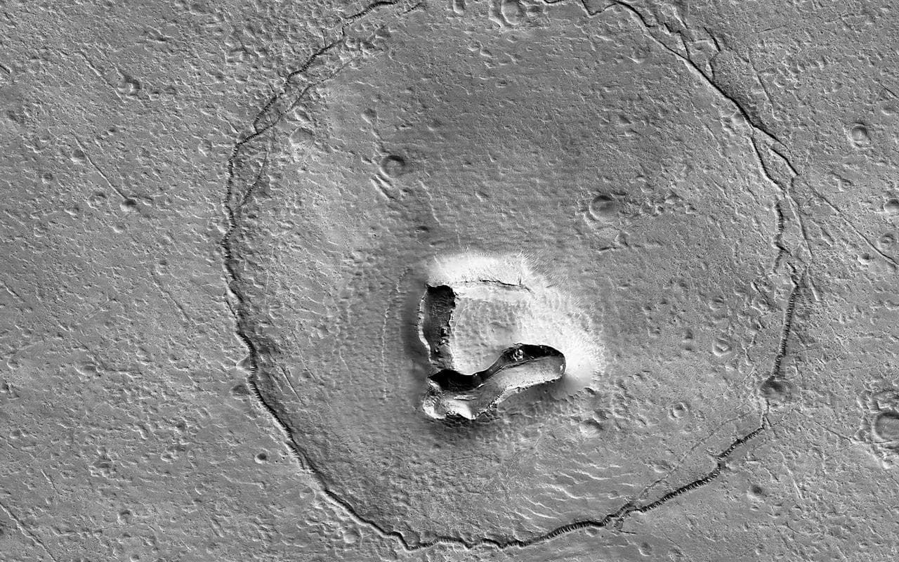 A Bear on Mars?
