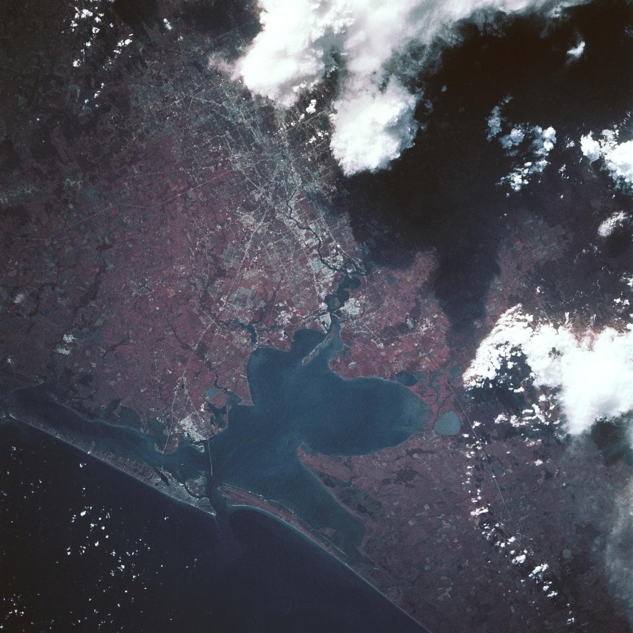 Color Infrared view of Houston, TX, USA