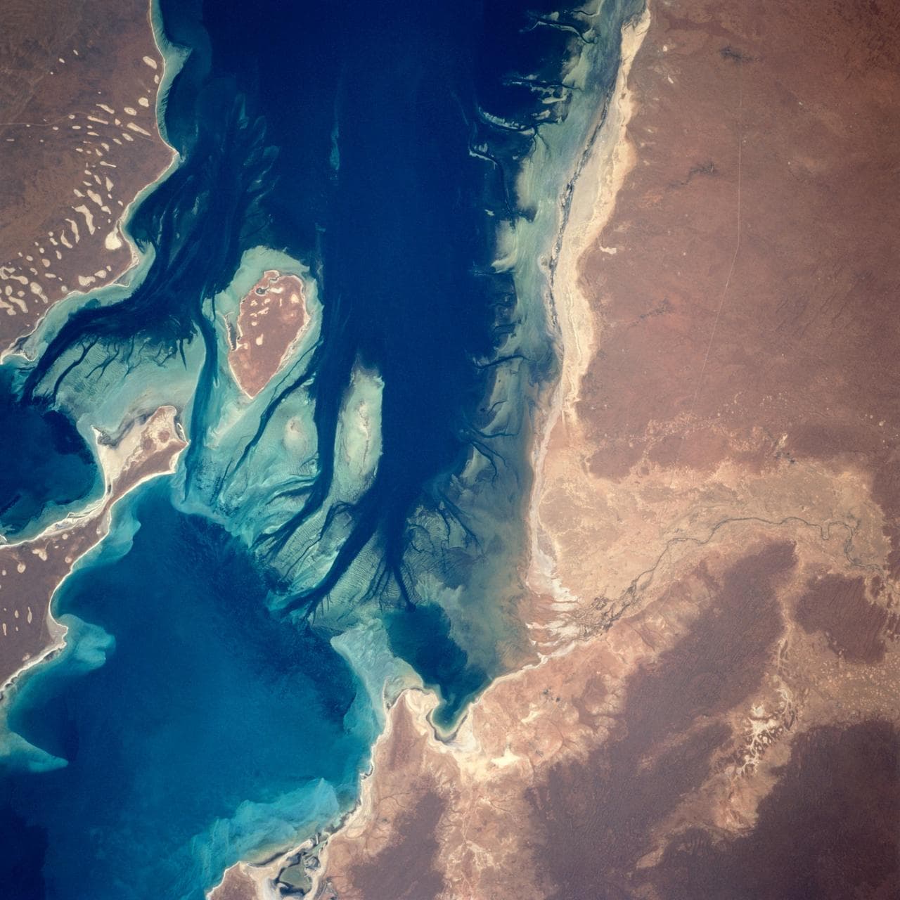 Disappointment Reach, Australia as seen from STS-67 Endeavour